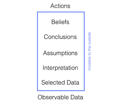 The ladder of inference.